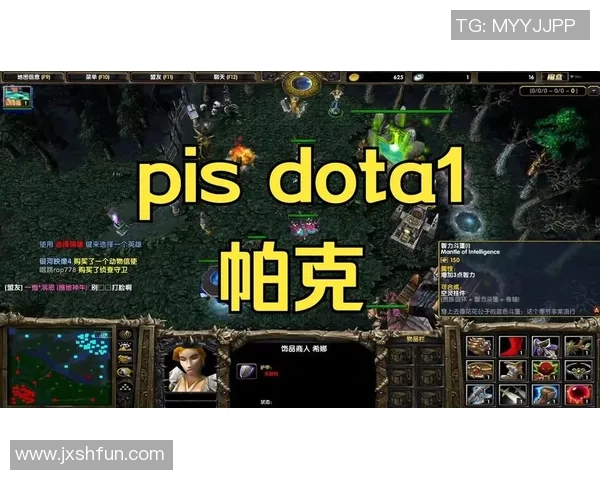 dota第一视角比赛-身临其境的DOTA第一视角比赛体验-dota第一视角比赛